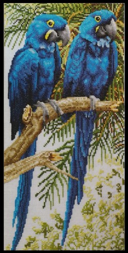 250 cross stitch patterns - 250,