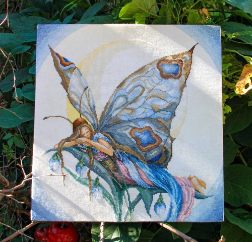 Night fairy butterfly - butterfly, lady